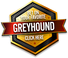 Bet on your favorite greyhound now!